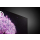 LG OLED65C12LA - 659168 - zdjęcie 5